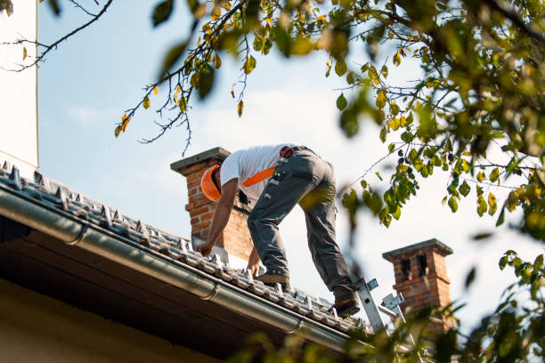 Best Local Roofing Companies  in Ller, WA
